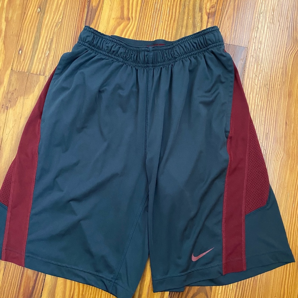 The Nike Dri-FIT shorts